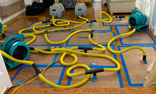 Professional Crawl Space Water Removal technician working in Saucier, MS